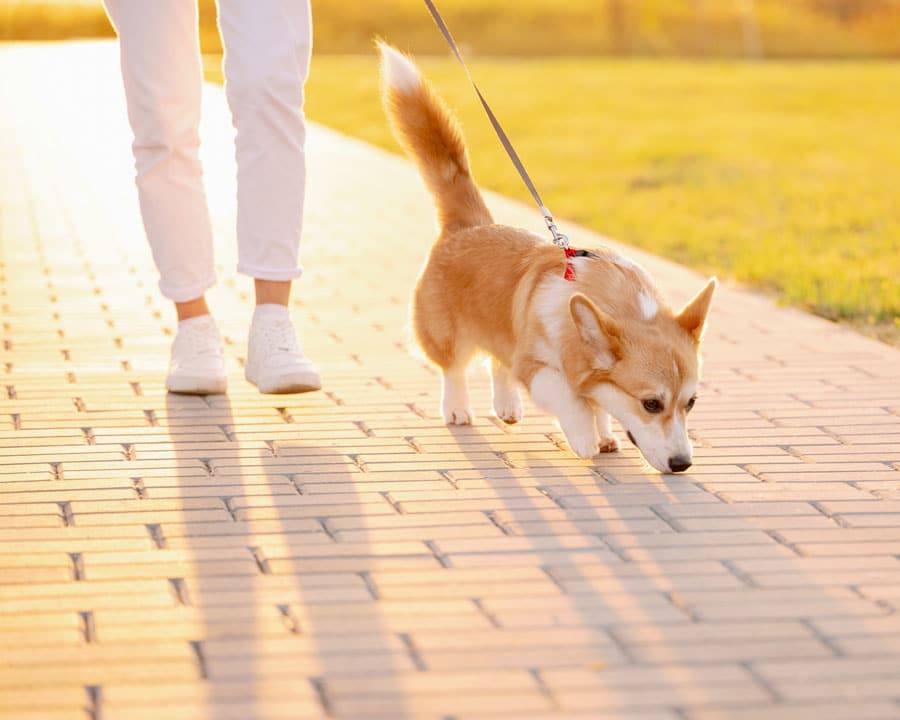 Staying comfortable, active, and injury-free
