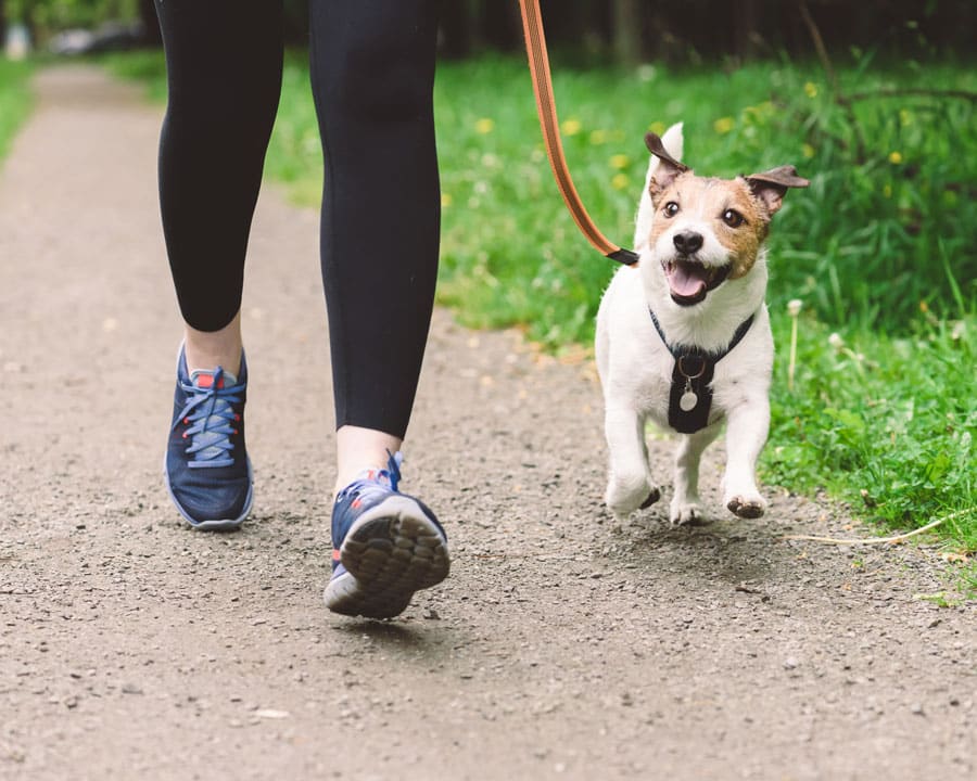 Why Foot Health Matters for Performance